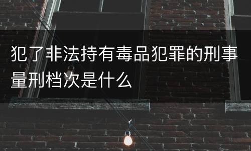 犯了非法持有毒品犯罪的刑事量刑档次是什么