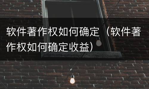 软件著作权如何确定（软件著作权如何确定收益）