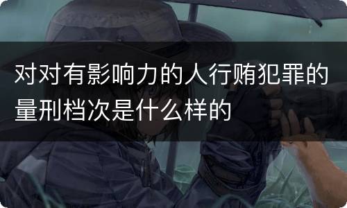 对对有影响力的人行贿犯罪的量刑档次是什么样的