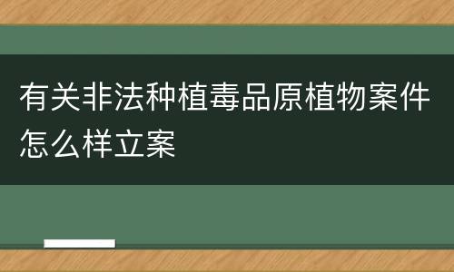 有关非法种植毒品原植物案件怎么样立案
