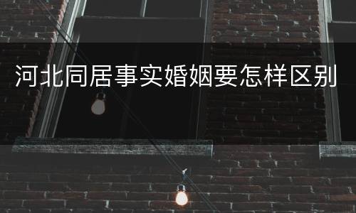 河北同居事实婚姻要怎样区别
