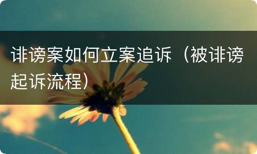 诽谤案如何立案追诉（被诽谤起诉流程）
