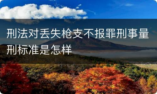 刑法对丢失枪支不报罪刑事量刑标准是怎样