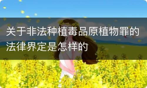 关于非法种植毒品原植物罪的法律界定是怎样的