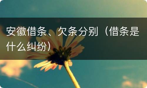 安徽借条、欠条分别（借条是什么纠纷）