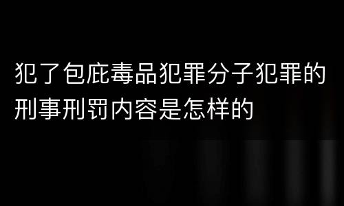 犯了包庇毒品犯罪分子犯罪的刑事刑罚内容是怎样的
