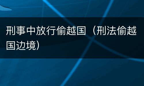 刑事中放行偷越国（刑法偷越国边境）