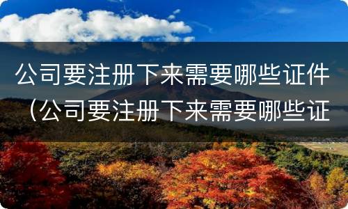 公司要注册下来需要哪些证件（公司要注册下来需要哪些证件和手续）