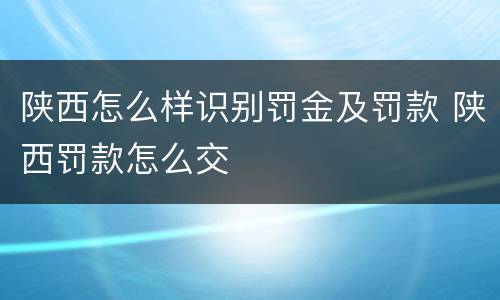 陕西怎么样识别罚金及罚款 陕西罚款怎么交