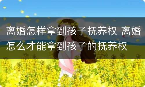 离婚怎样拿到孩子抚养权 离婚怎么才能拿到孩子的抚养权