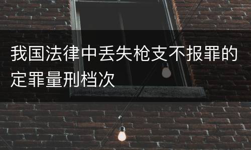 我国法律中丢失枪支不报罪的定罪量刑档次