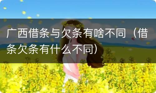 广西借条与欠条有啥不同（借条欠条有什么不同）