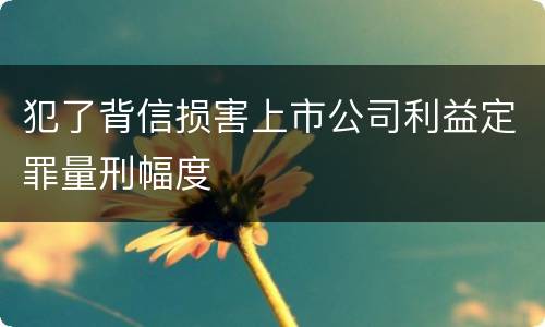 犯了背信损害上市公司利益定罪量刑幅度