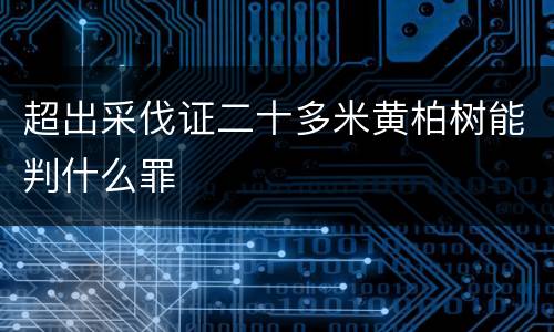 超出采伐证二十多米黄柏树能判什么罪