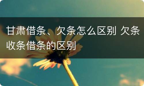 甘肃借条、欠条怎么区别 欠条收条借条的区别