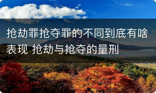 抢劫罪抢夺罪的不同到底有啥表现 抢劫与抢夺的量刑