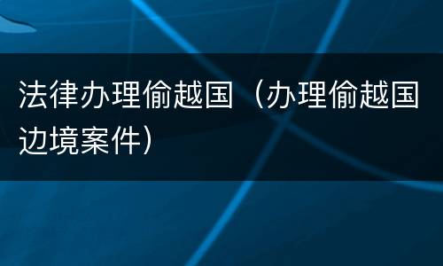 法律办理偷越国（办理偷越国边境案件）