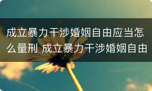 成立暴力干涉婚姻自由应当怎么量刑 成立暴力干涉婚姻自由应当怎么量刑的