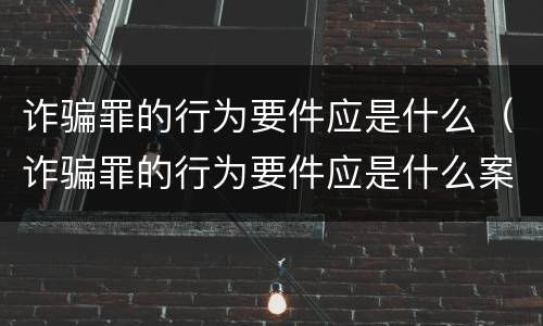 诈骗罪的行为要件应是什么（诈骗罪的行为要件应是什么案件）