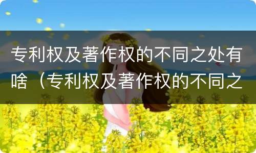 专利权及著作权的不同之处有啥（专利权及著作权的不同之处有啥区别）