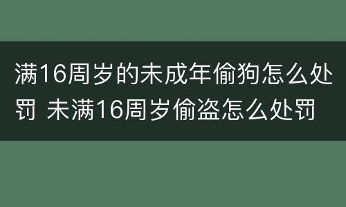 满16周岁的未成年偷狗怎么处罚 未满16周岁偷盗怎么处罚