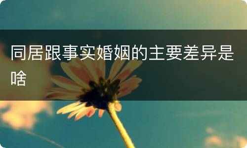 同居跟事实婚姻的主要差异是啥