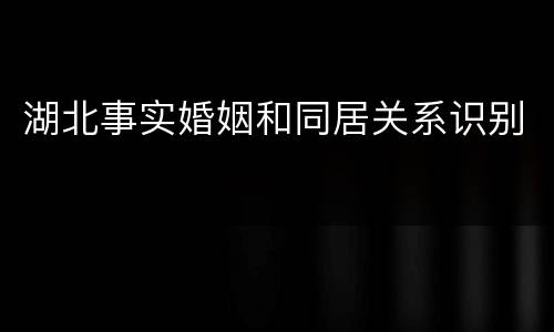 湖北事实婚姻和同居关系识别