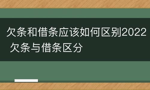 欠条和借条应该如何区别2022 欠条与借条区分