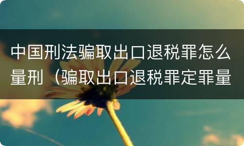 中国刑法骗取出口退税罪怎么量刑（骗取出口退税罪定罪量刑）