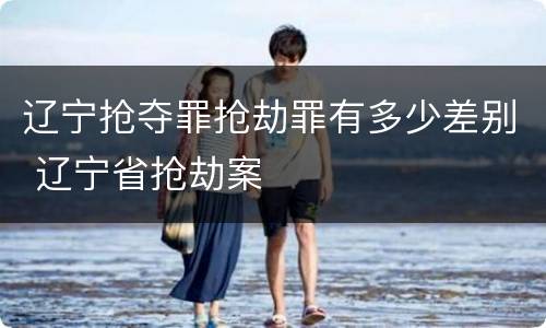 辽宁抢夺罪抢劫罪有多少差别 辽宁省抢劫案