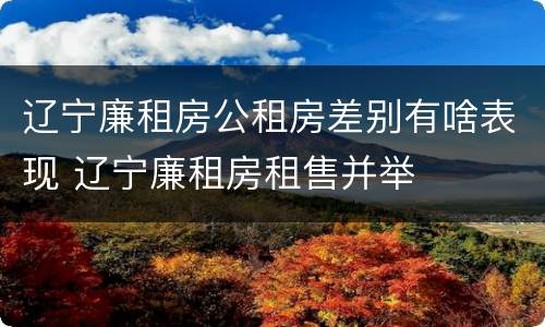 辽宁廉租房公租房差别有啥表现 辽宁廉租房租售并举