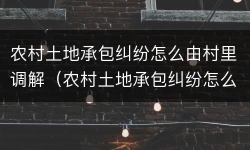农村土地承包纠纷怎么由村里调解（农村土地承包纠纷怎么由村里调解呢）