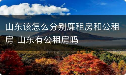 山东该怎么分别廉租房和公租房 山东有公租房吗