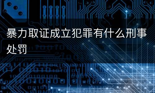 暴力取证成立犯罪有什么刑事处罚