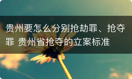 贵州要怎么分别抢劫罪、抢夺罪 贵州省抢夺的立案标准