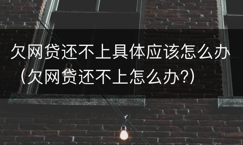 欠网贷还不上具体应该怎么办（欠网贷还不上怎么办?）