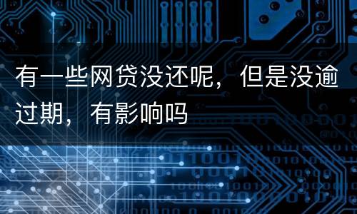 有一些网贷没还呢，但是没逾过期，有影响吗