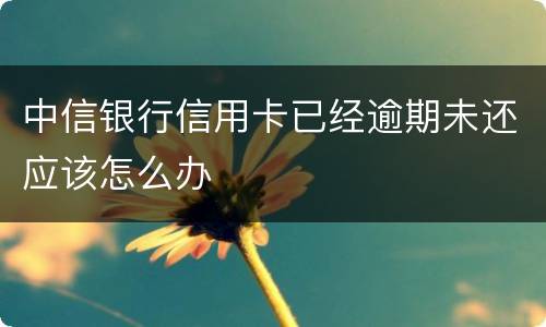 中信银行信用卡已经逾期未还应该怎么办