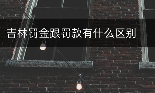 吉林罚金跟罚款有什么区别