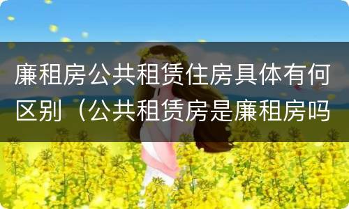 廉租房公共租赁住房具体有何区别（公共租赁房是廉租房吗）