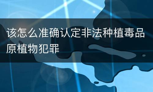 该怎么准确认定非法种植毒品原植物犯罪
