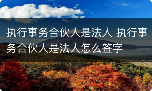 执行事务合伙人是法人 执行事务合伙人是法人怎么签字