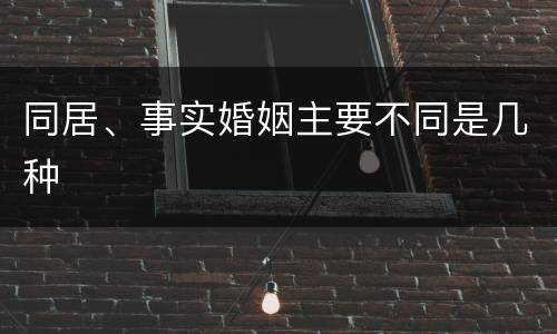 同居、事实婚姻主要不同是几种
