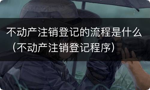 不动产注销登记的流程是什么（不动产注销登记程序）