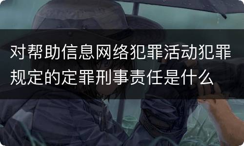 对帮助信息网络犯罪活动犯罪规定的定罪刑事责任是什么