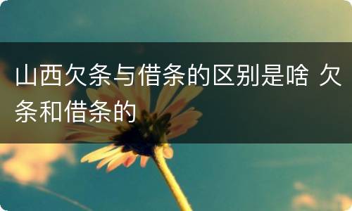 山西欠条与借条的区别是啥 欠条和借条的