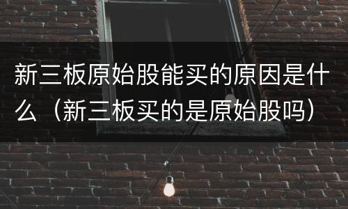 新三板原始股能买的原因是什么（新三板买的是原始股吗）