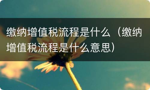 缴纳增值税流程是什么（缴纳增值税流程是什么意思）