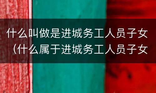 什么叫做是进城务工人员子女（什么属于进城务工人员子女）