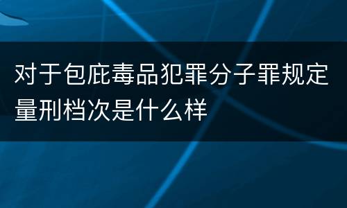 对于包庇毒品犯罪分子罪规定量刑档次是什么样